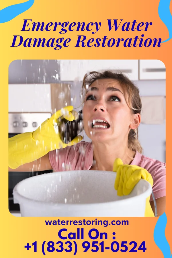 Emergency Water Damage Restoration in Lakeside, IA